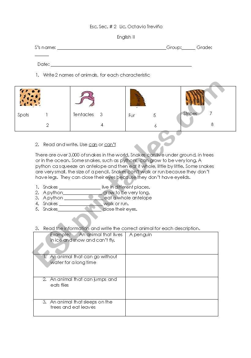 Animals and people worksheet