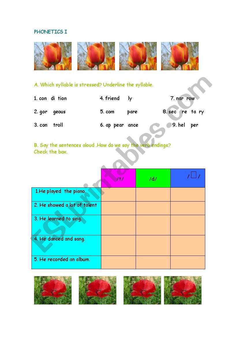 PHONETICS I worksheet