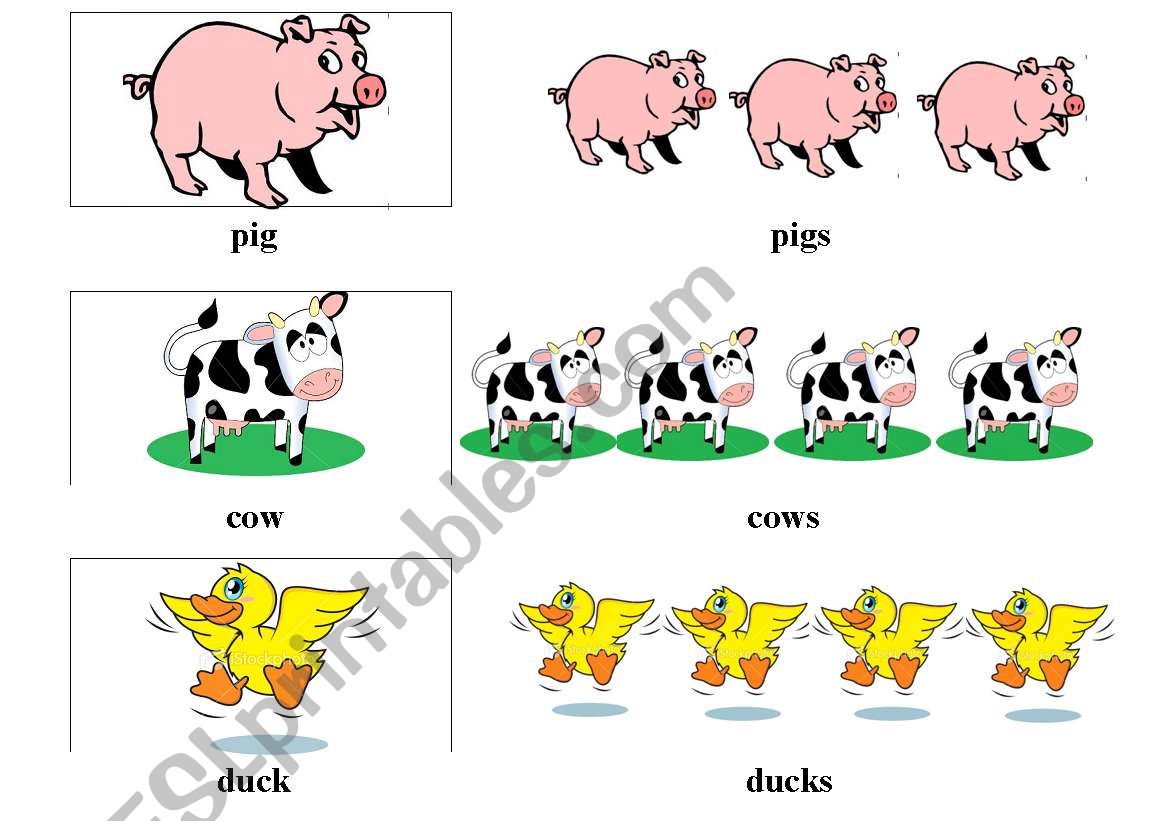 countable and uncountable worksheet