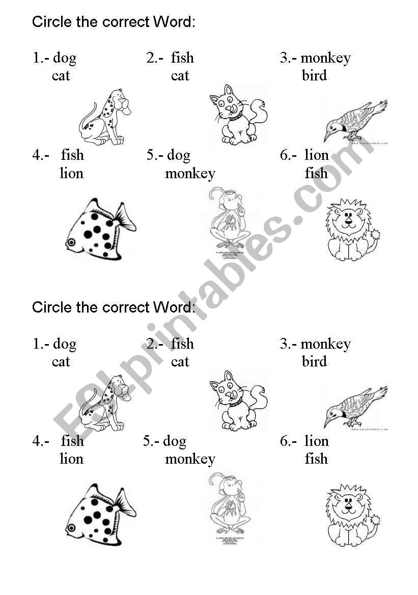 identifying animals worksheet