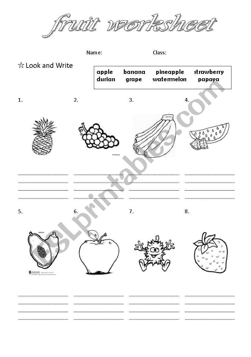 fruit worksheet worksheet