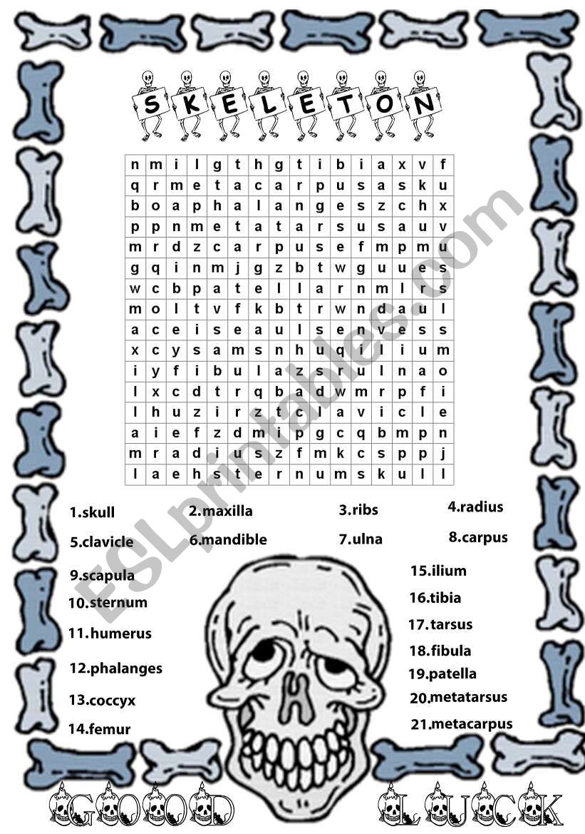 skeleton worksheet