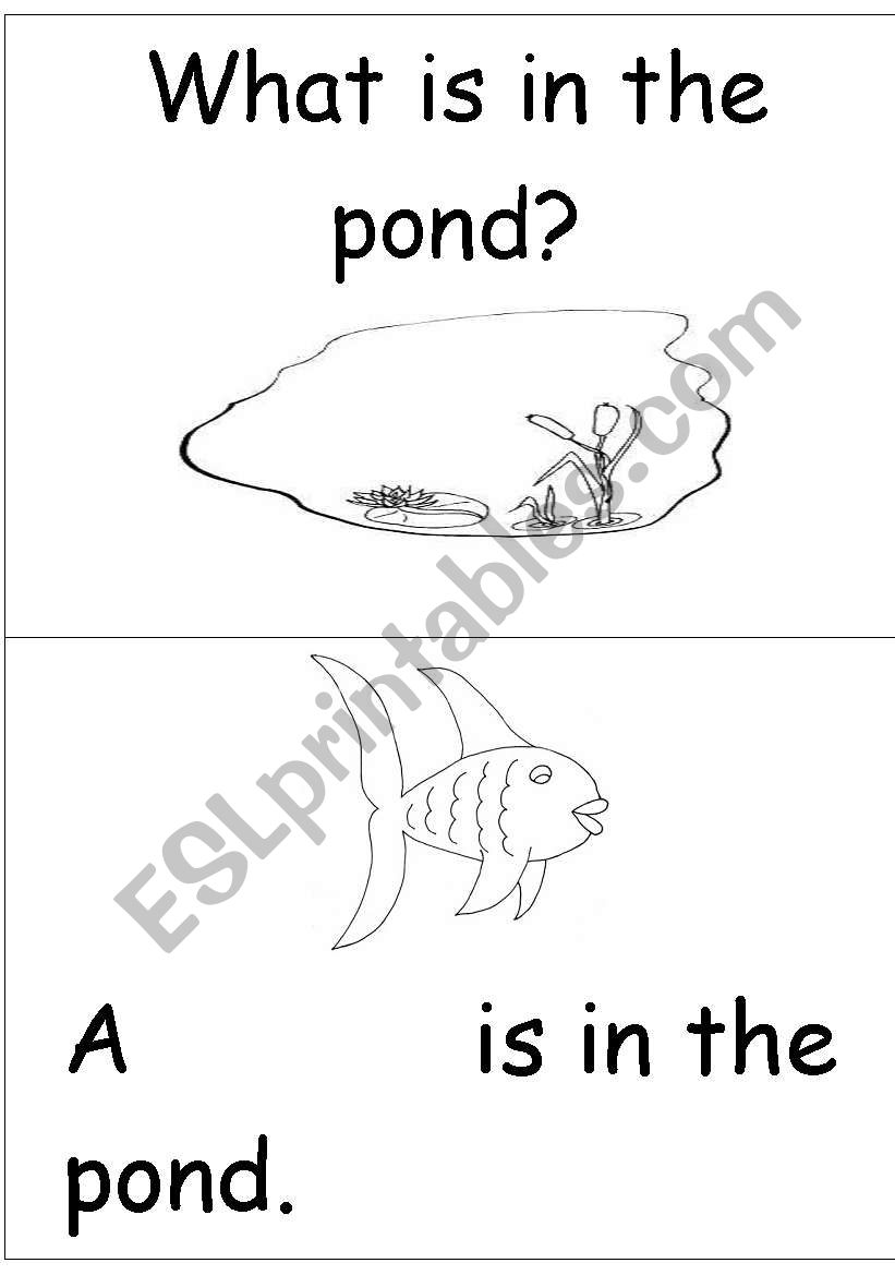 What is in the pond? worksheet