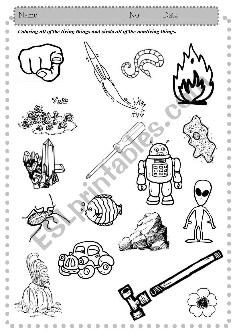 living nonliving worksheet