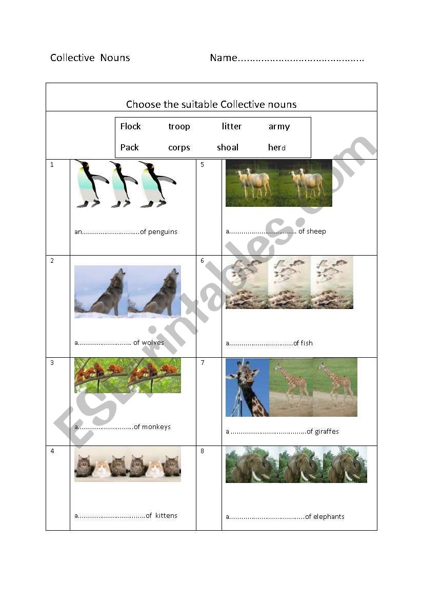 Collective nouns worksheet