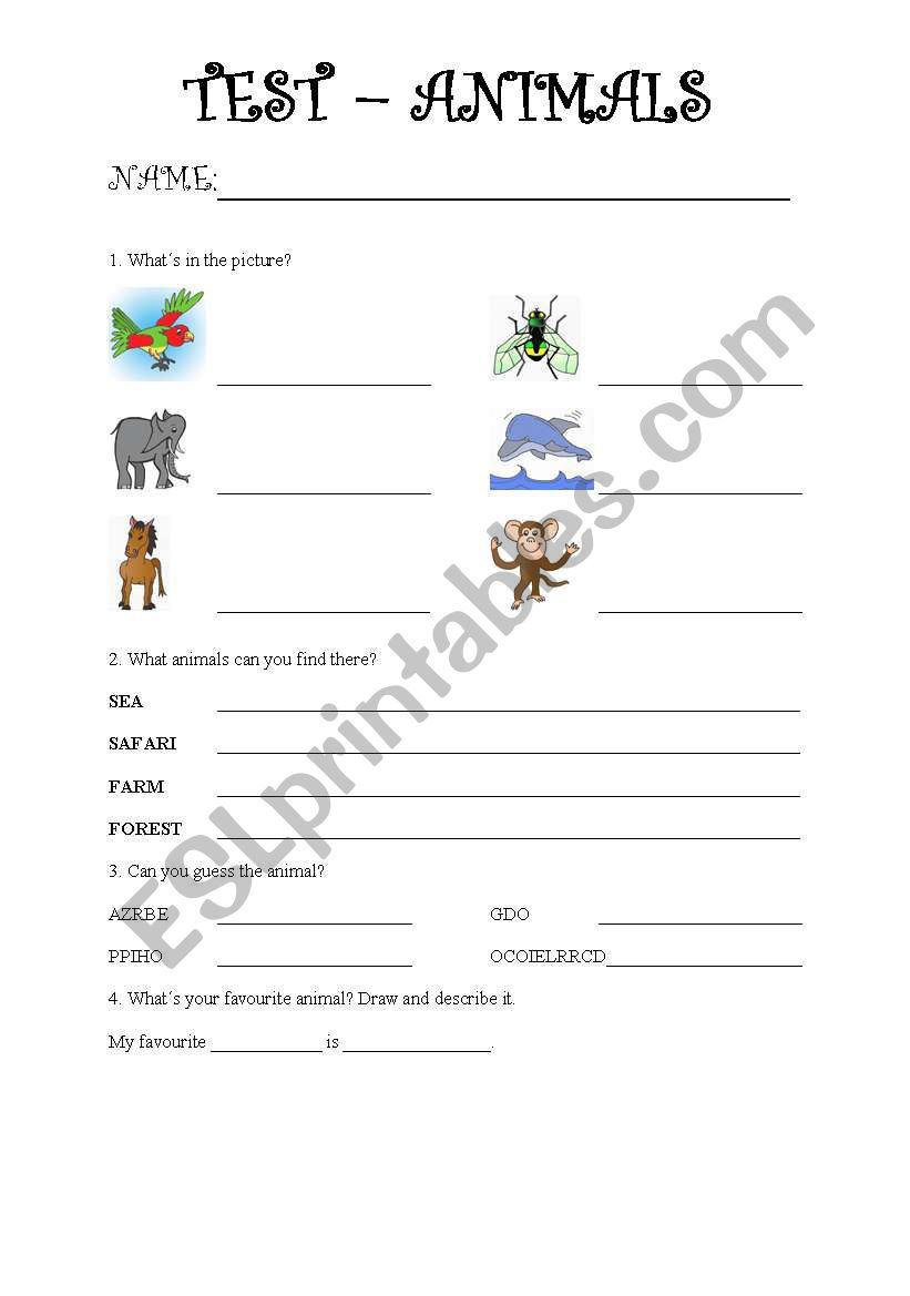 TEST - animals worksheet