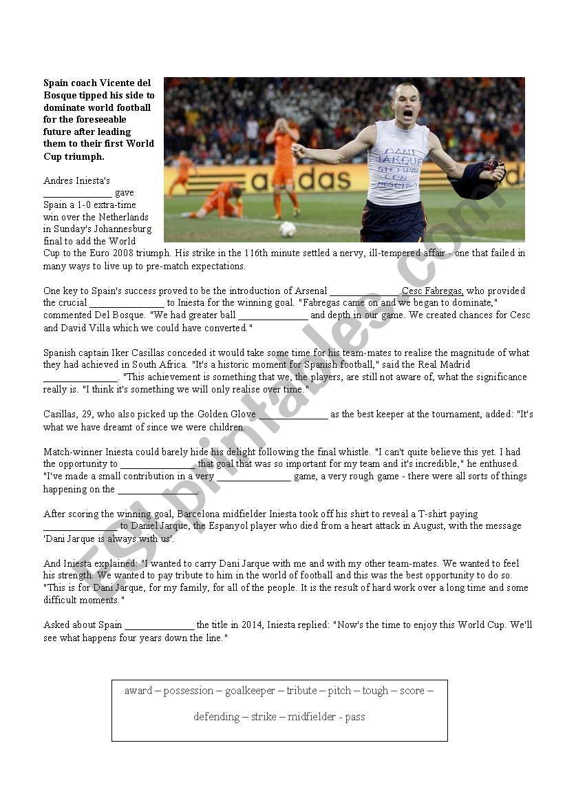 World Cup 2010 worksheet