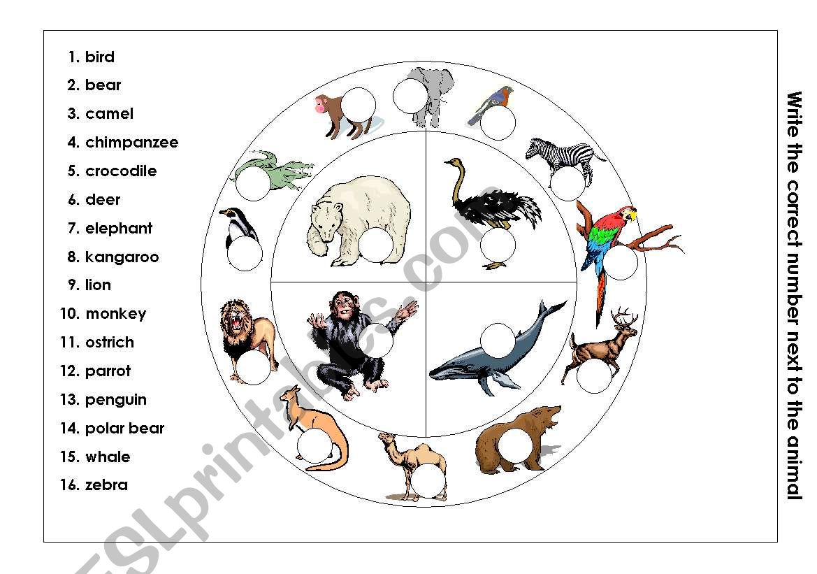 Name teh animals worksheet