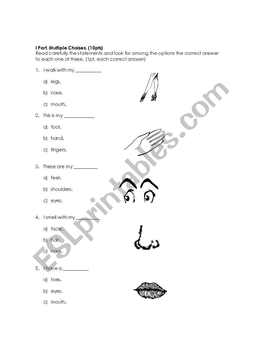 Body parts worksheet