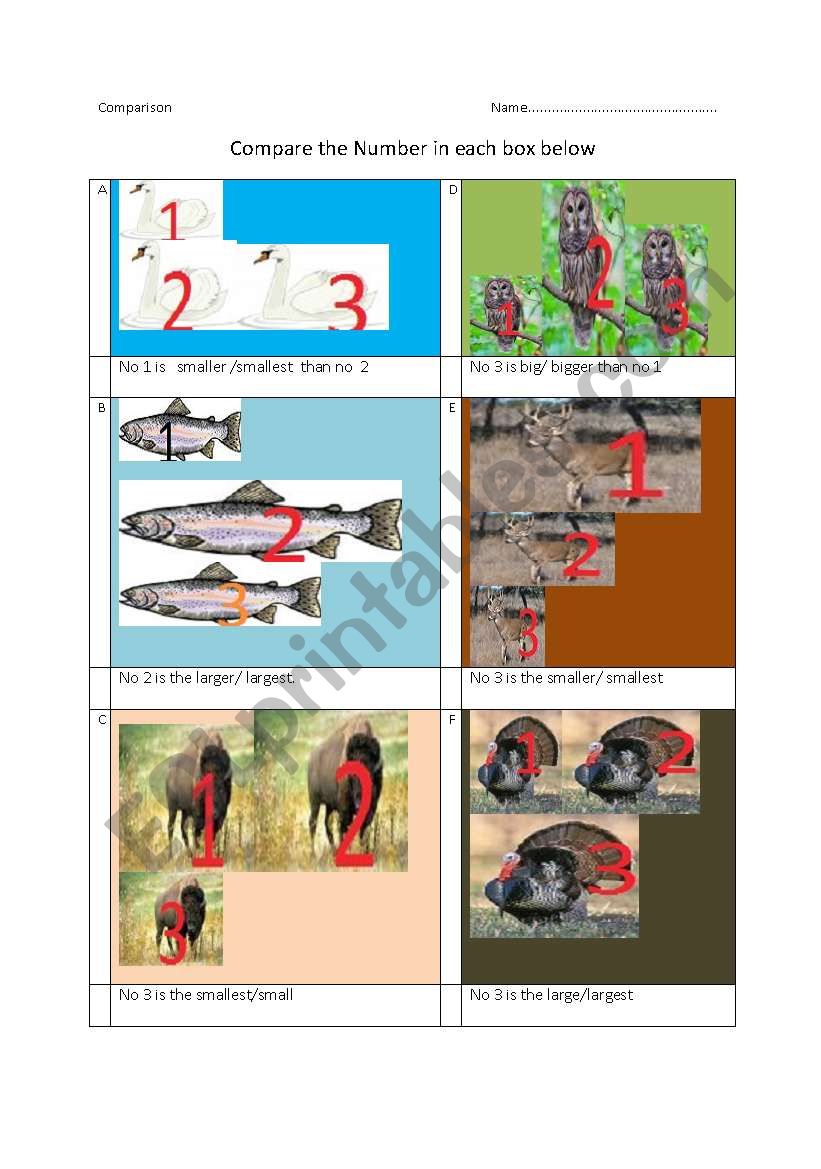 Comparison worksheet
