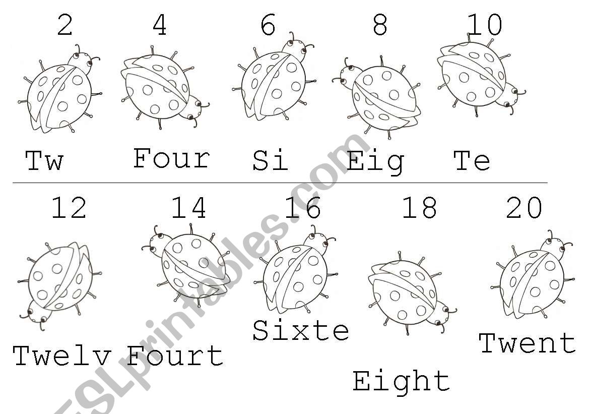 Counting by 2s worksheet
