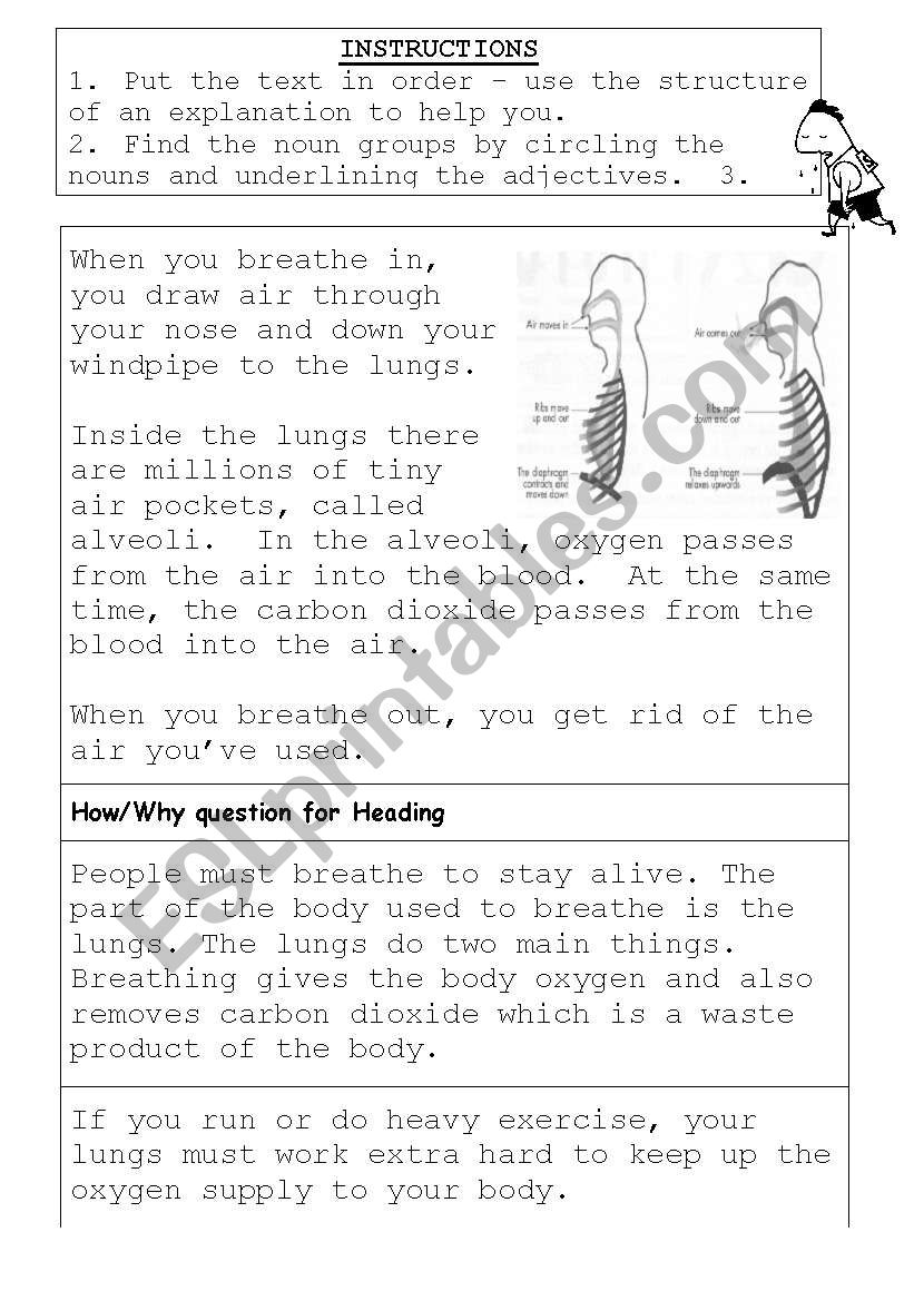 How we breathe worksheet