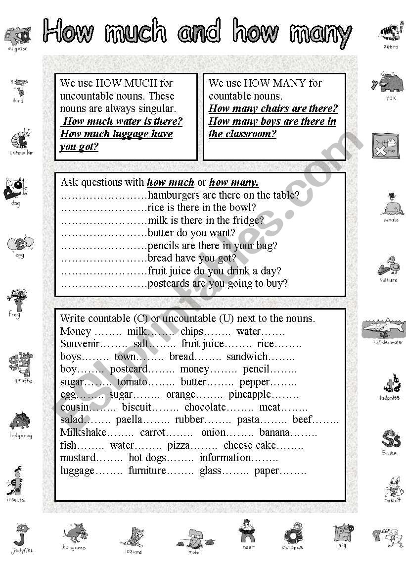 How much or how many and countable or uncountable nouns.