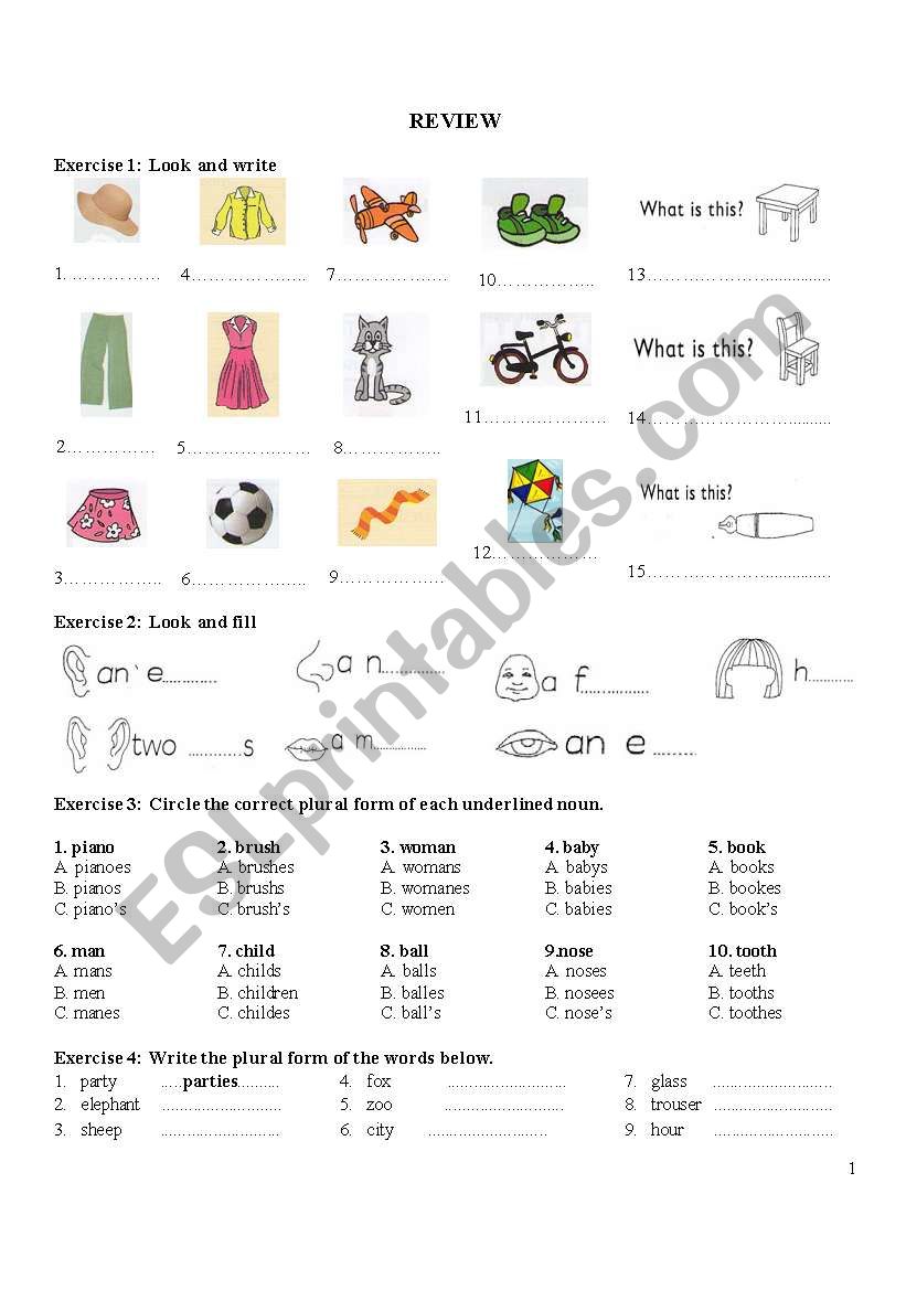 review for backpack1 worksheet