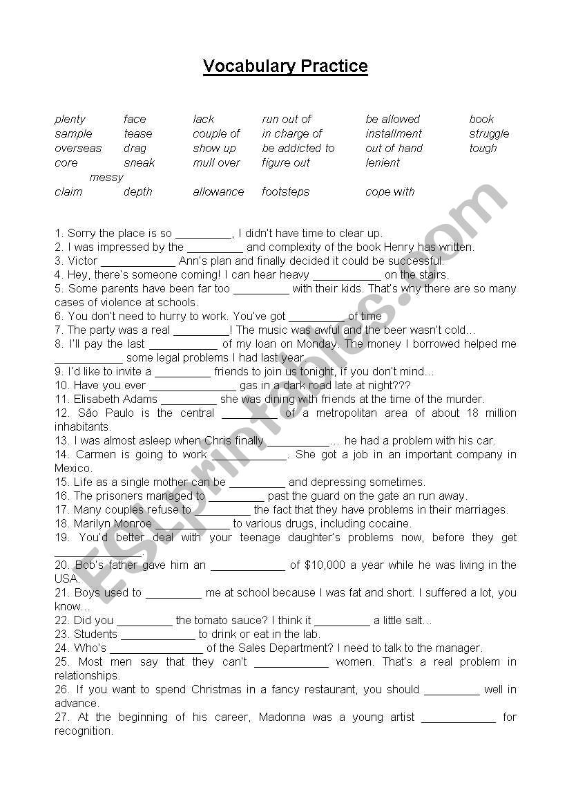 Vocabulary Practice worksheet