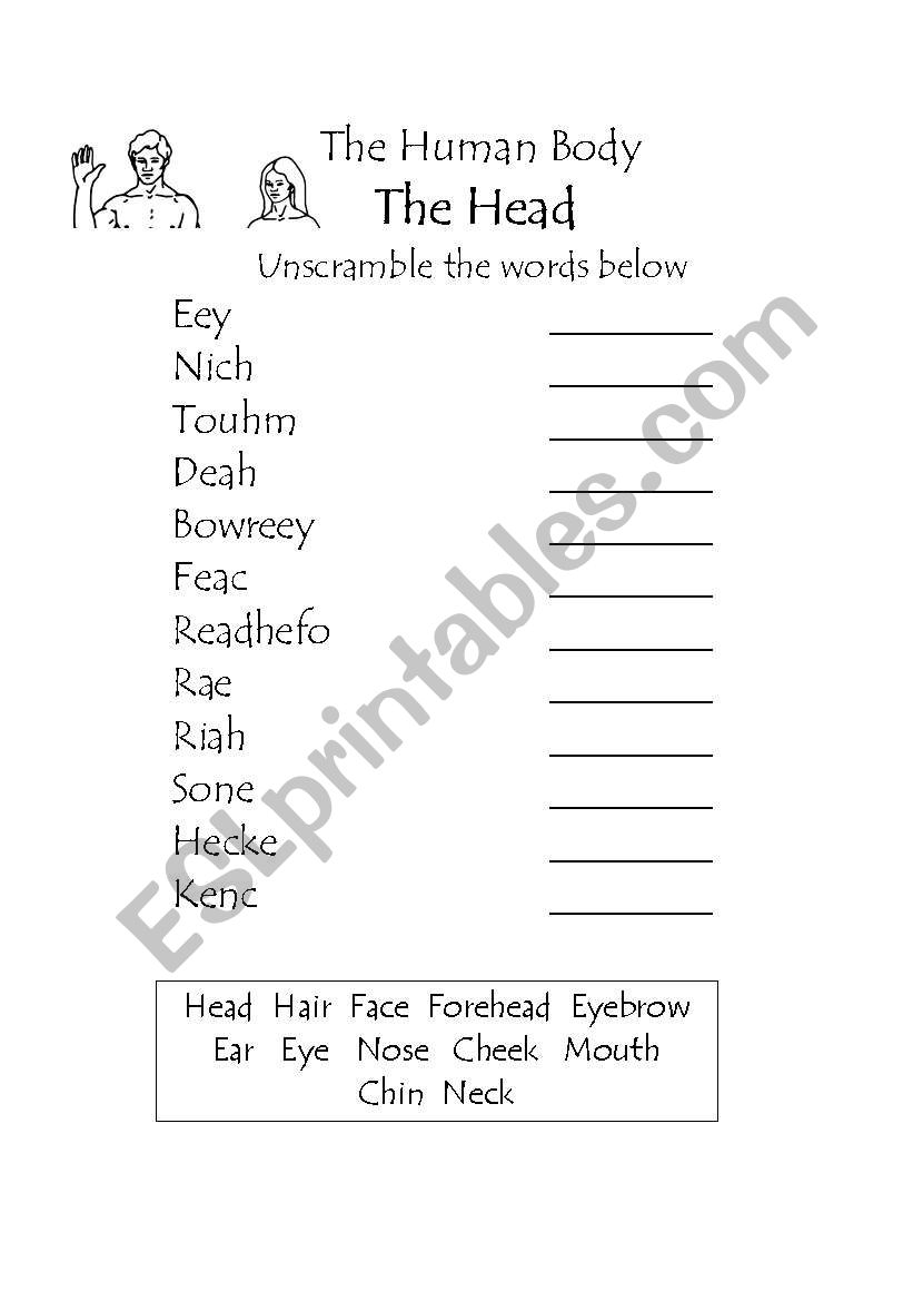 The human Body - The mouth worksheet