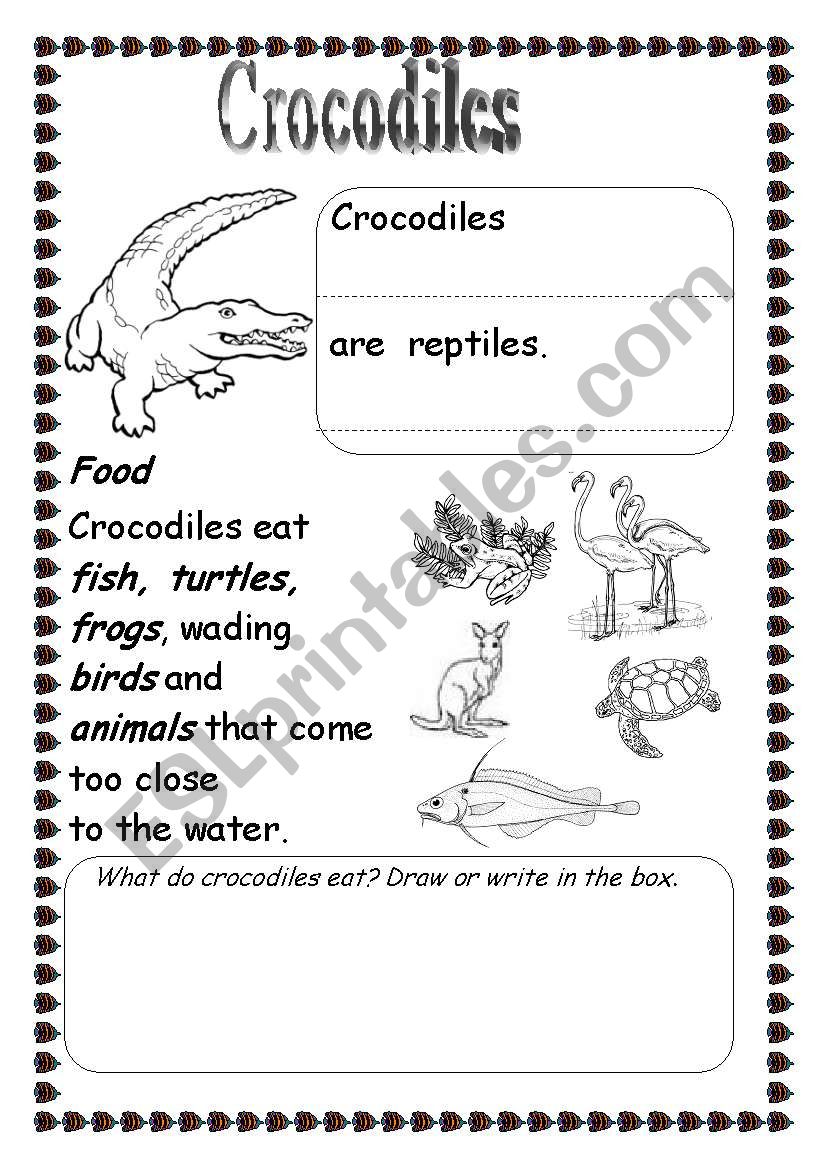 Crocodiles worksheet