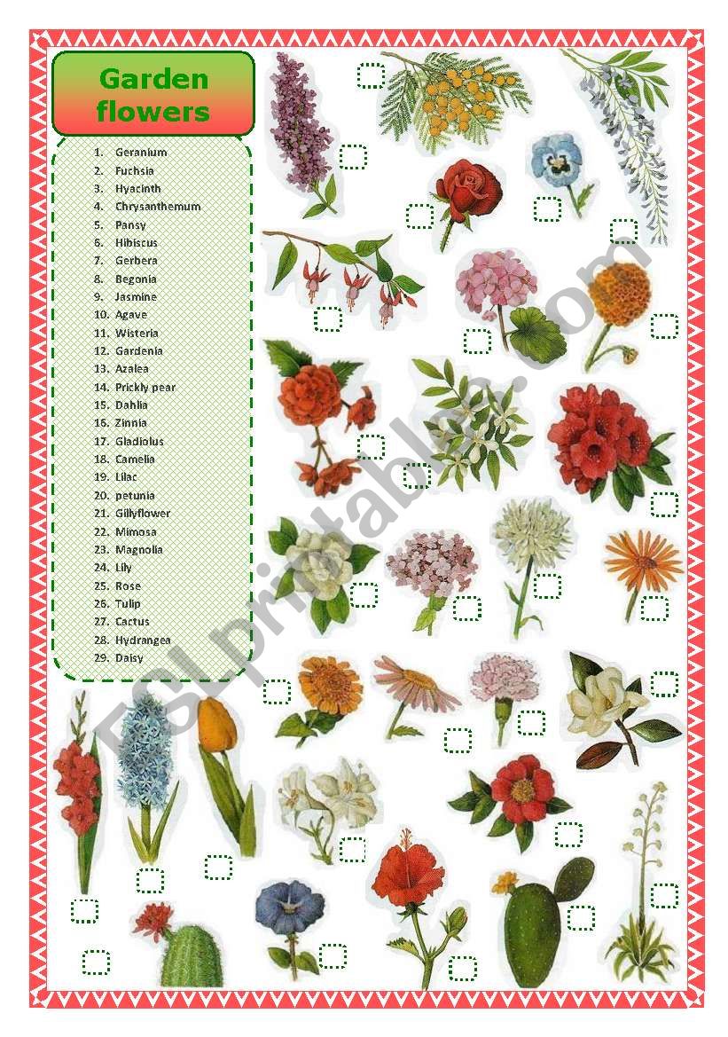 Garden flowers- matching worksheet