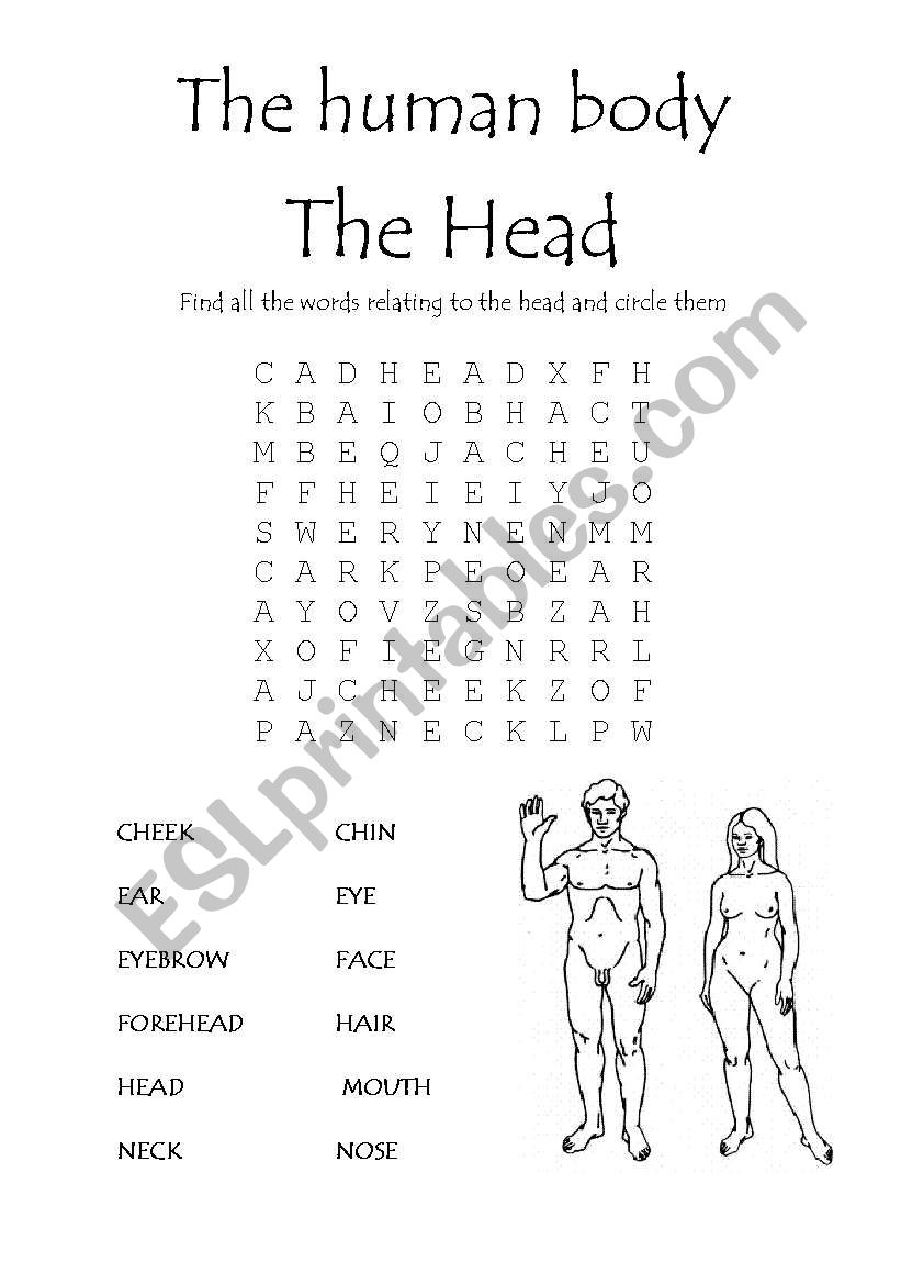 The human body - The head wordsearch