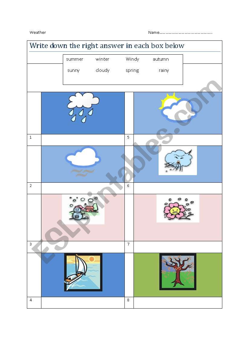 Weather  worksheet