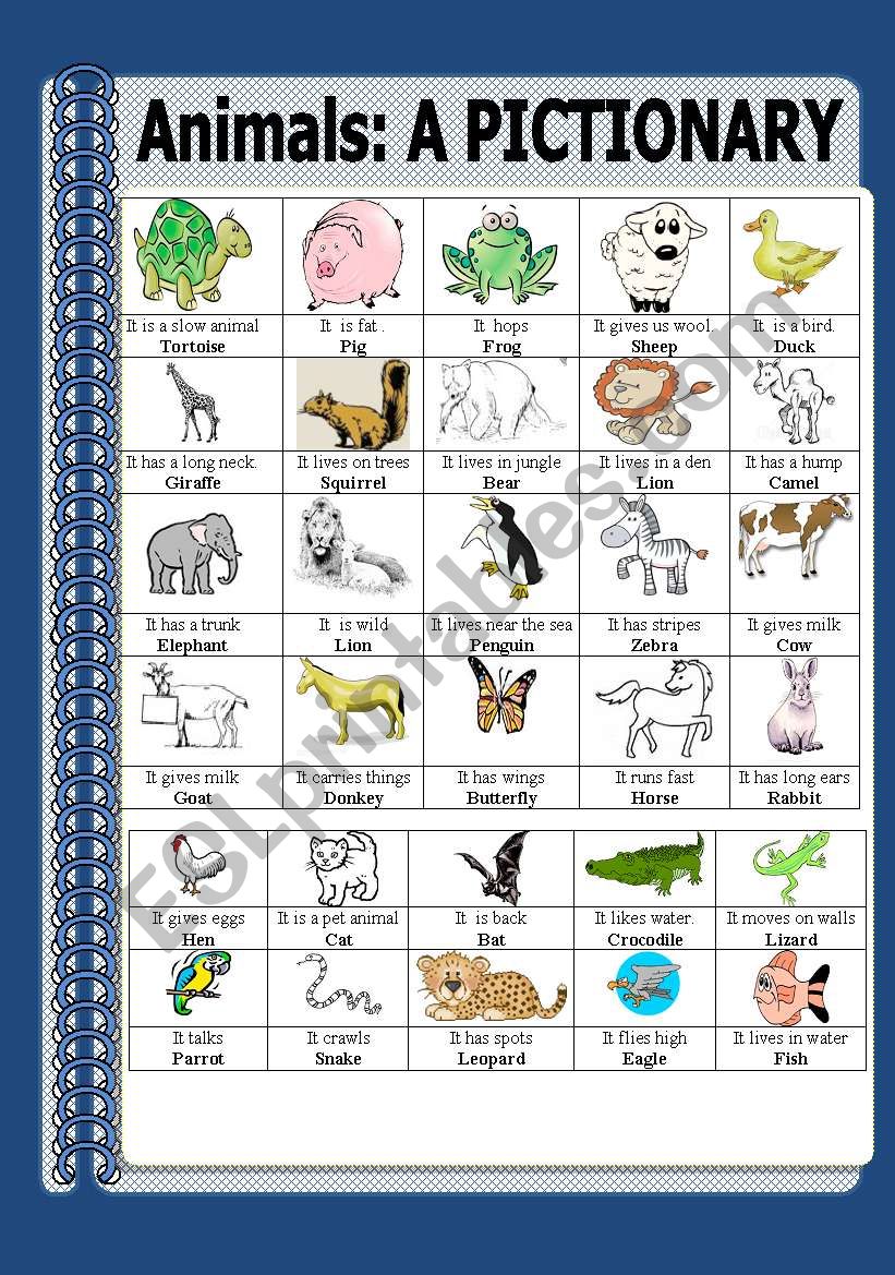 ANIMALS worksheet