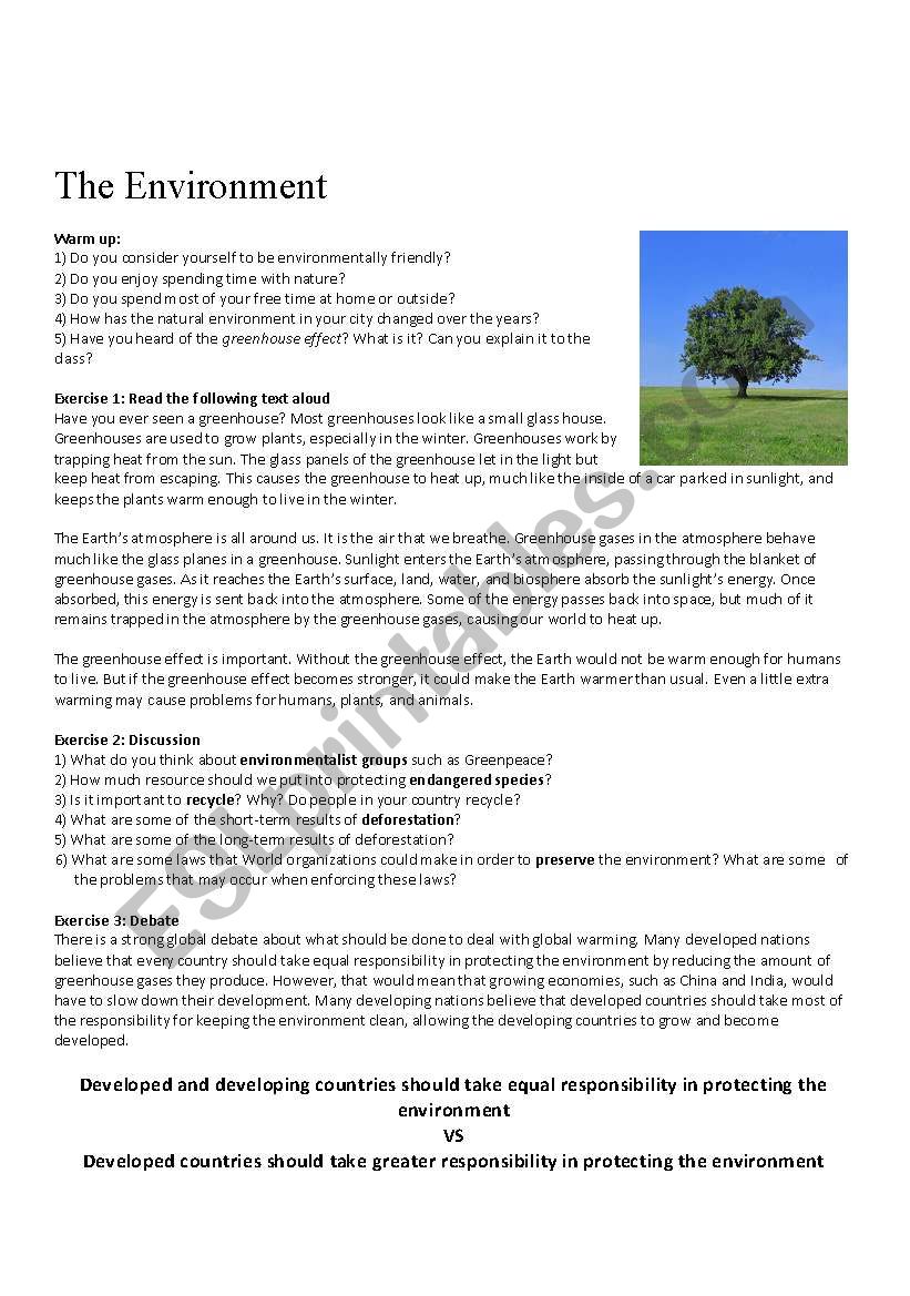 The Environment worksheet