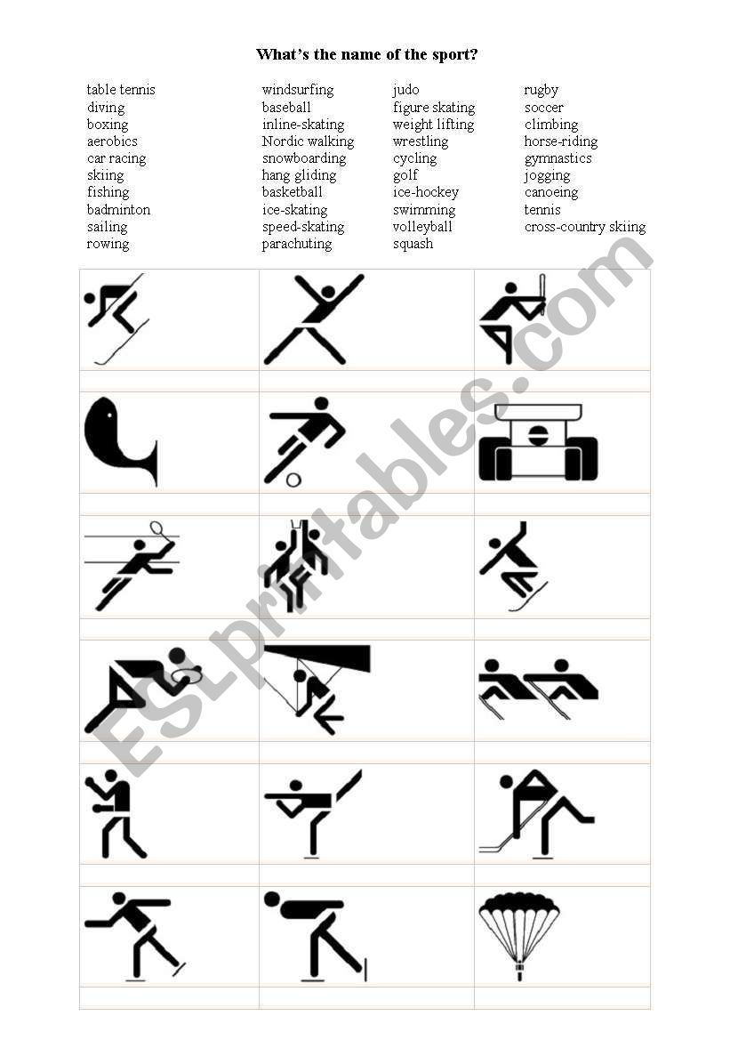 sports worksheet