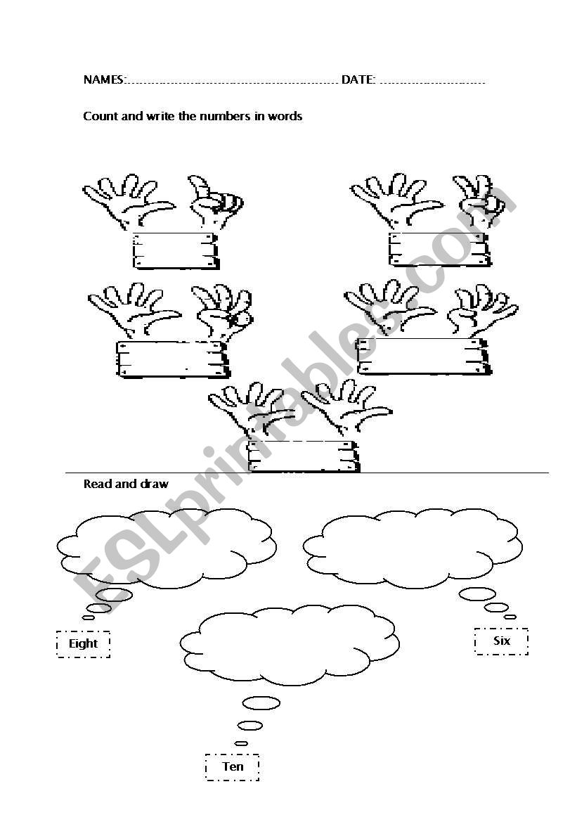 Learning the numbers  worksheet