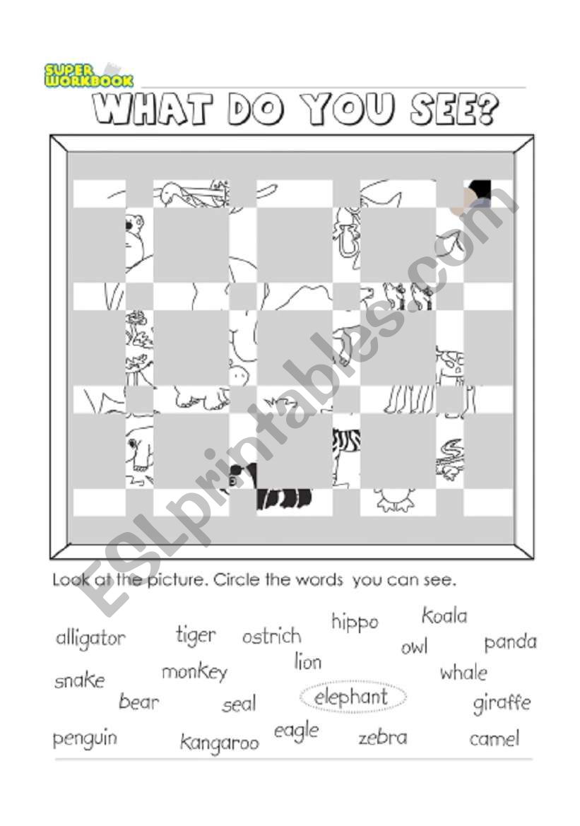 What do you see? worksheet