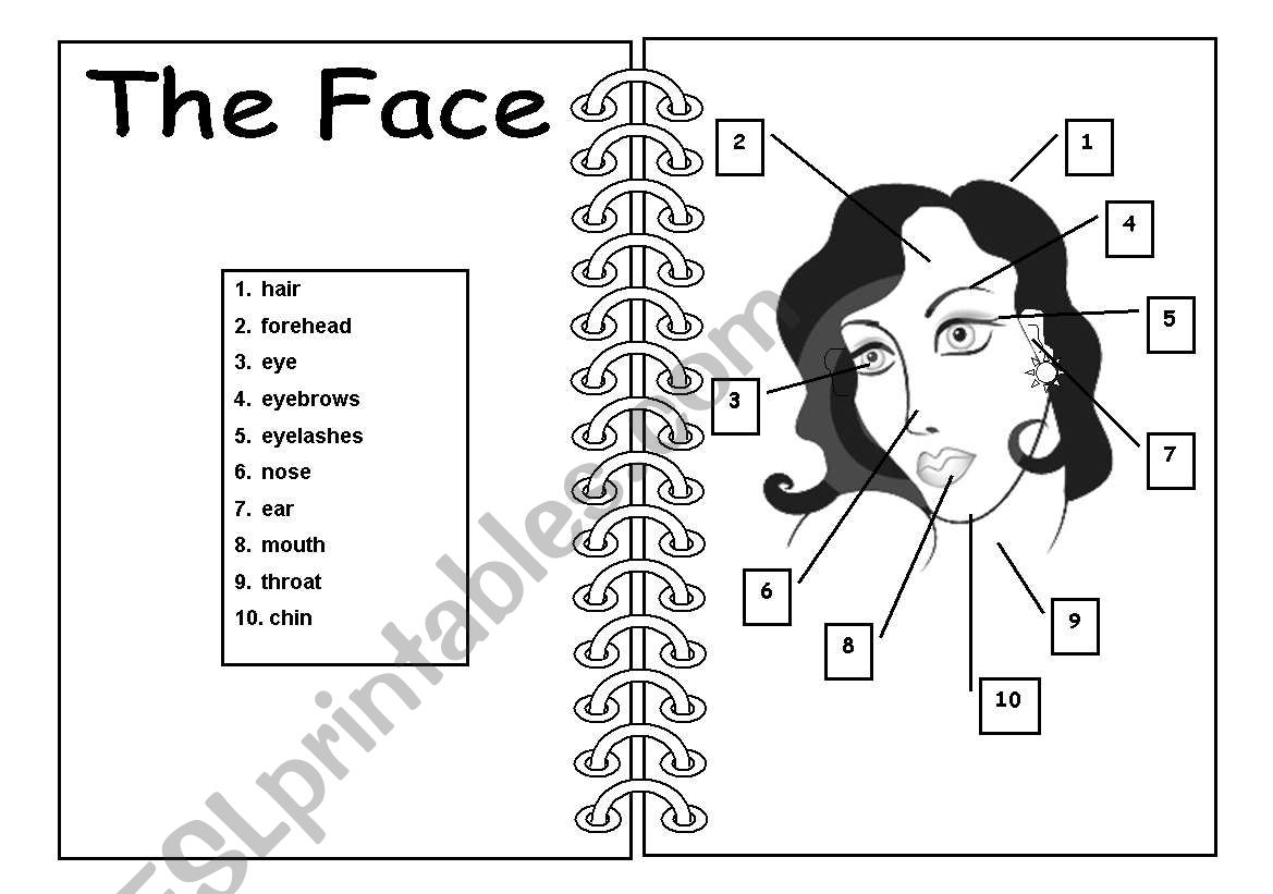 The Face - Pictionary worksheet