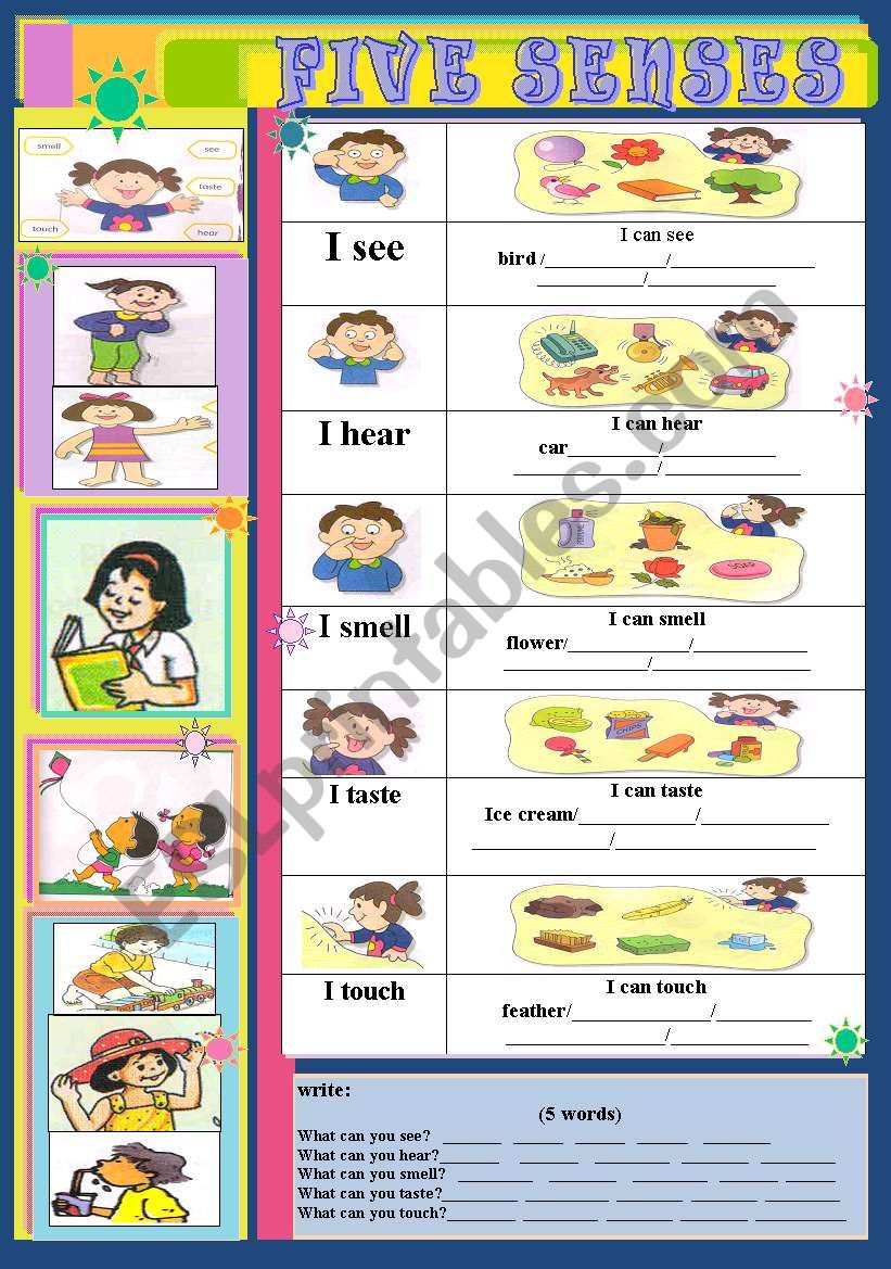 FIVE SENSES worksheet