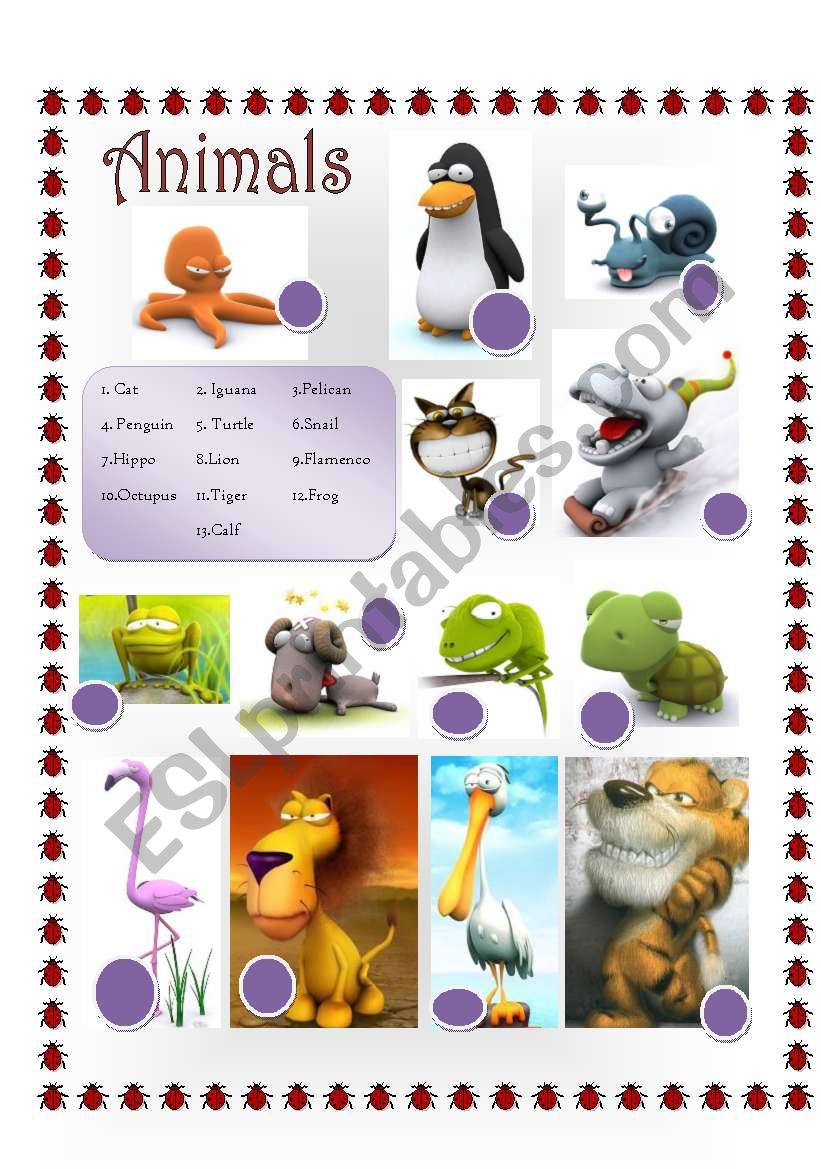 Animals worksheet