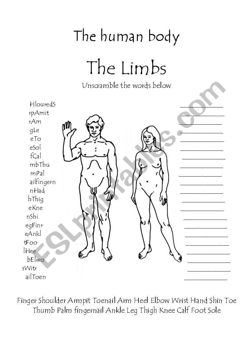 The human body - The limbs word scramble worksheet