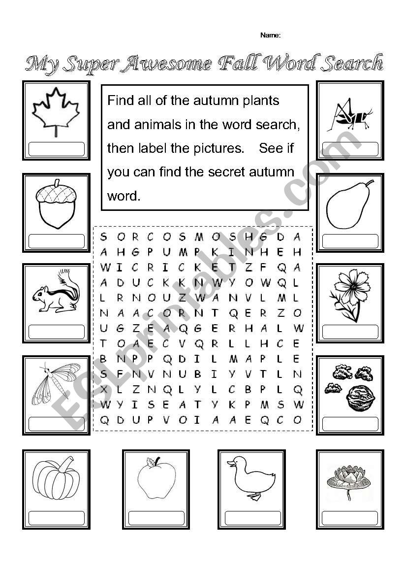 My Super Awesome Fall Word Search
