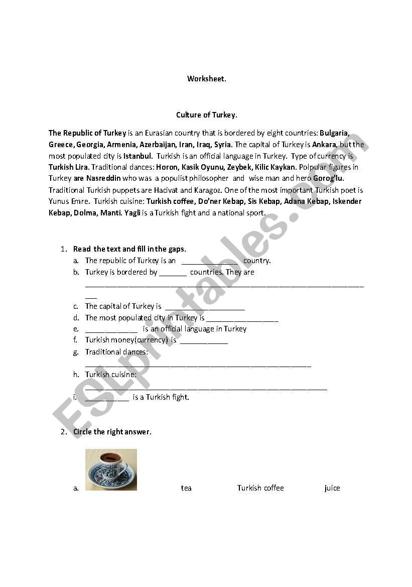 Turkish culture worksheet