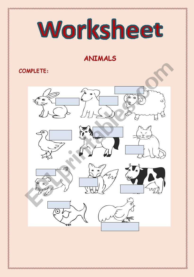 Animals worksheet