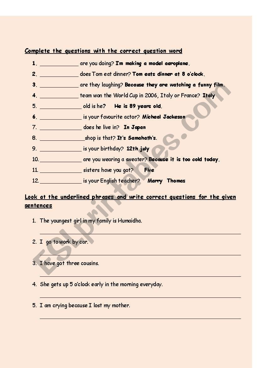 question words worksheet