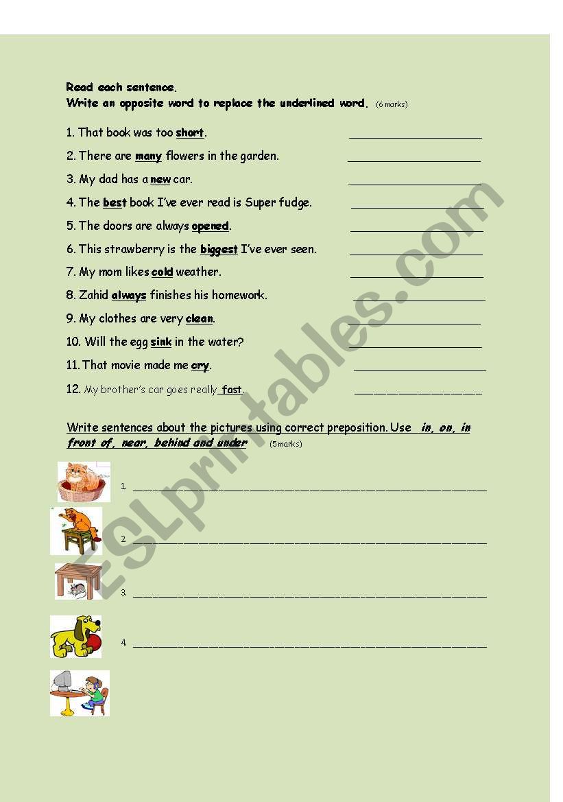 opposites and prepositions worksheet