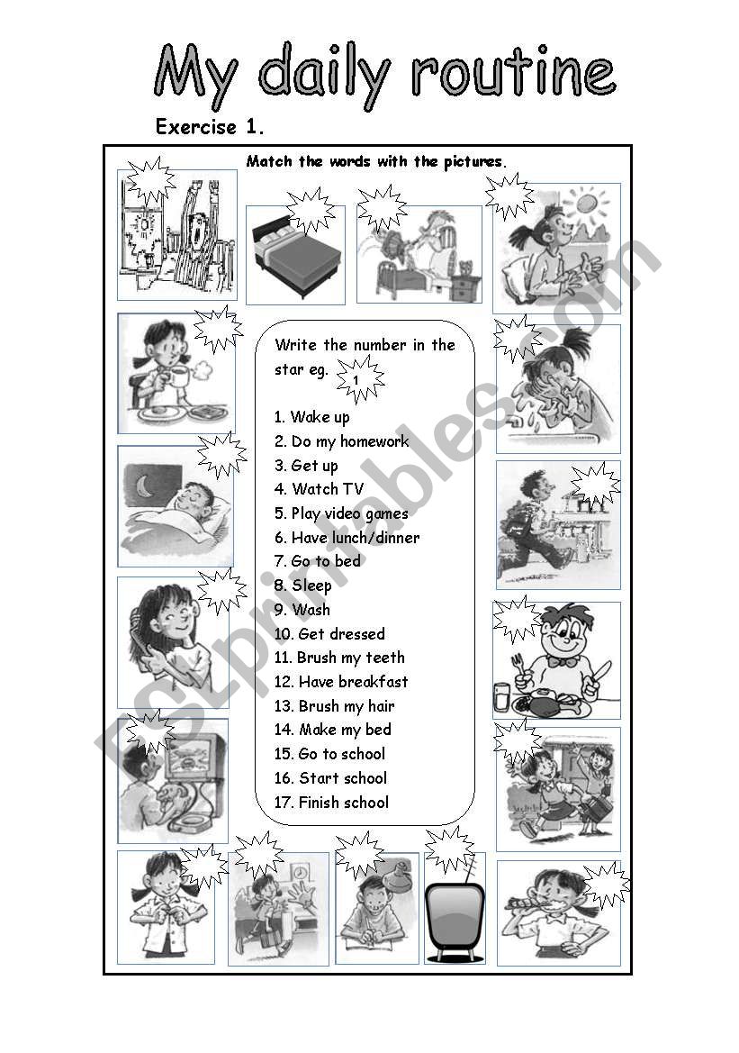 My Daily Routine worksheet