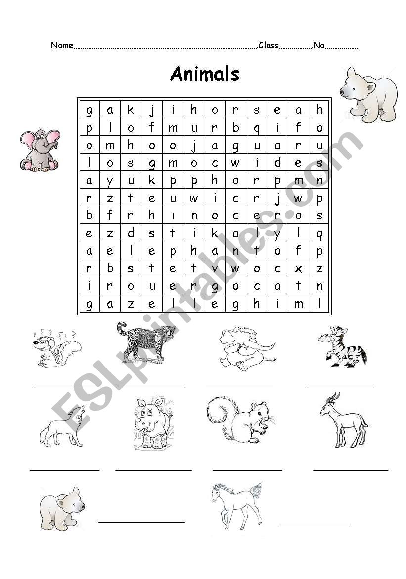 animals worksheet