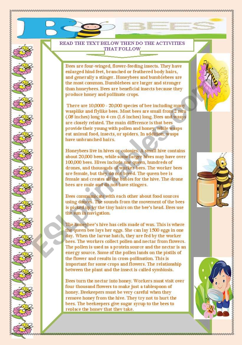 NO BEES NO HONEY. worksheet