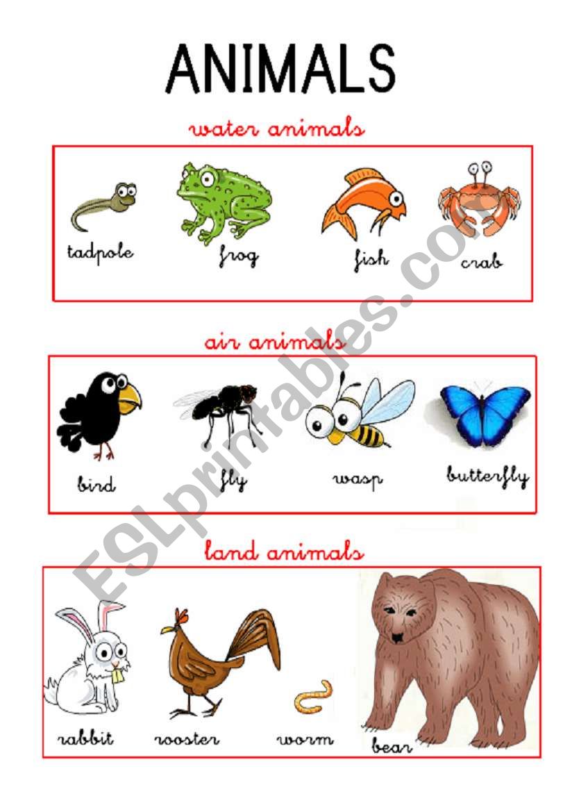 ANIMALS worksheet