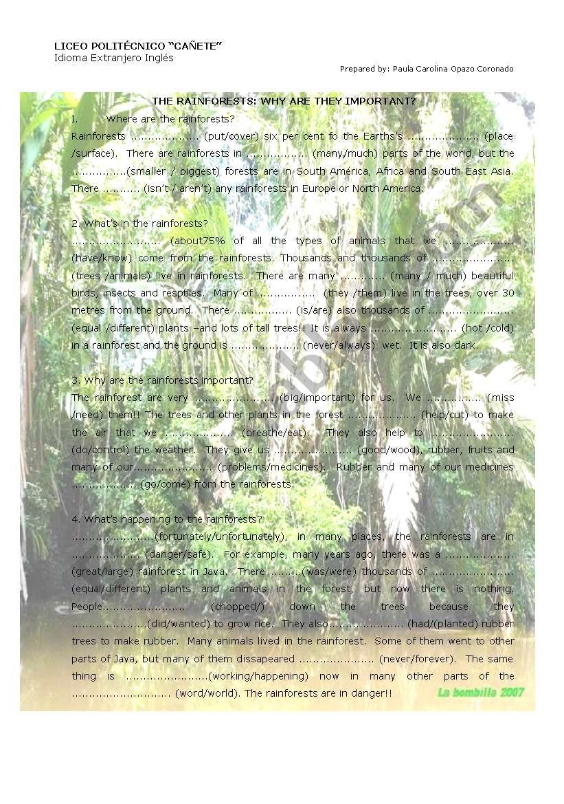 RAINFORESTS worksheet