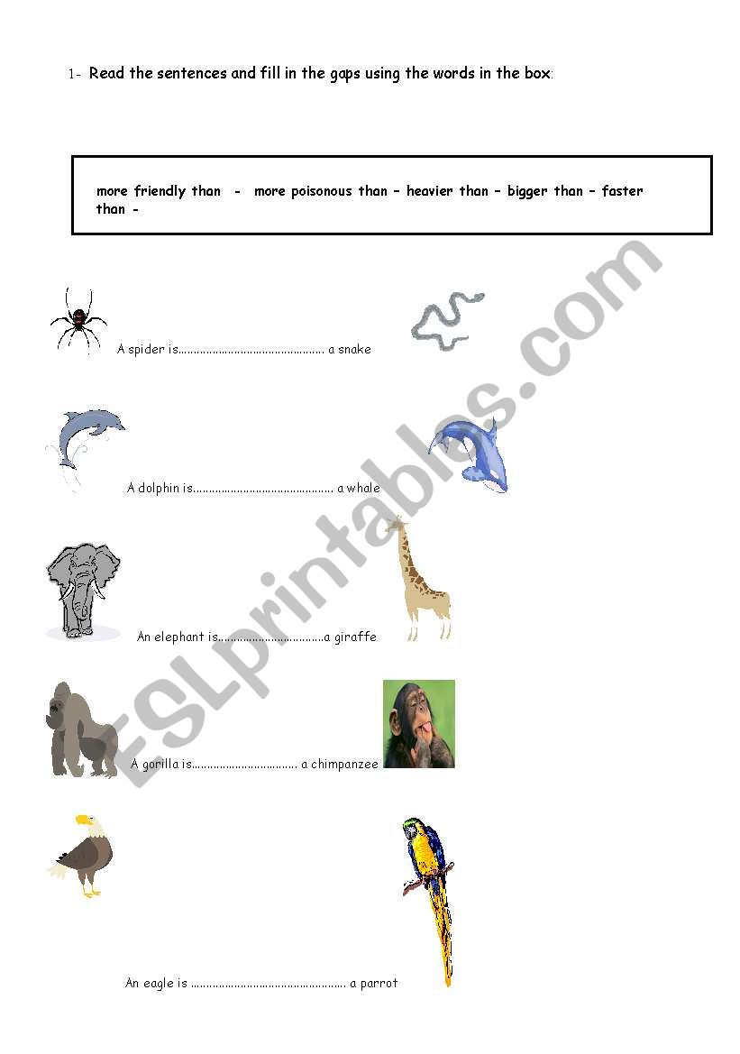 Comparative adjectives worksheet