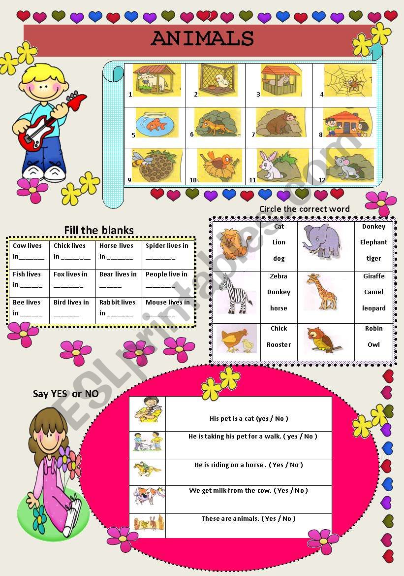 MORE ABOUT ANIMALS worksheet