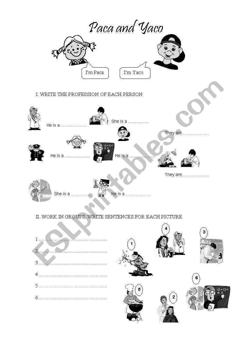 PACA AND YACO worksheet