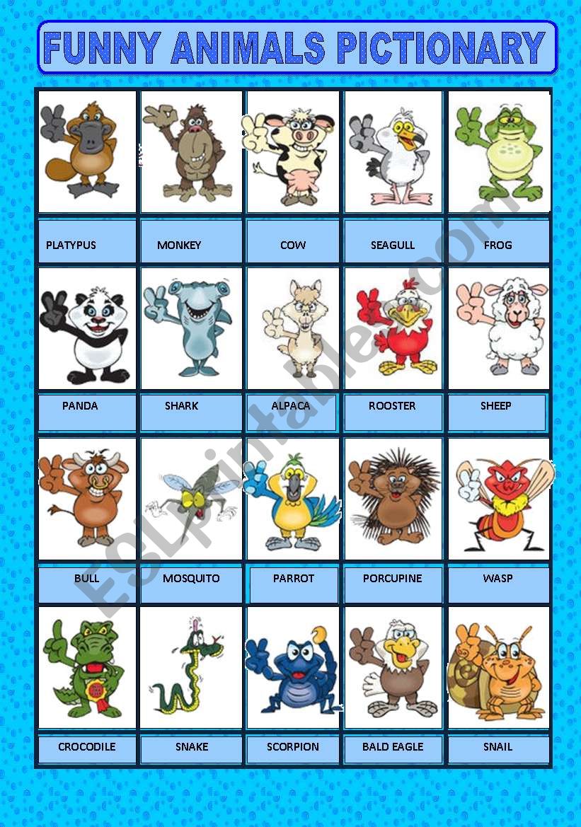 Funny animals pictionary worksheet