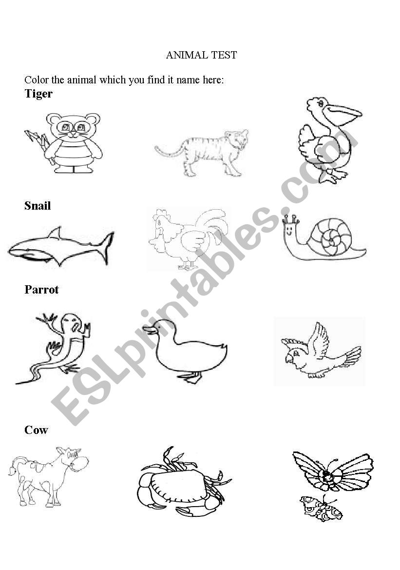 animal test worksheet