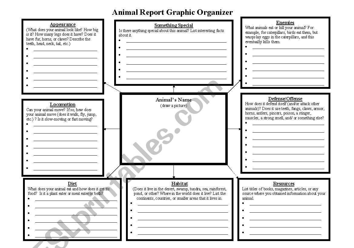 Animal Research Graphic Organizer