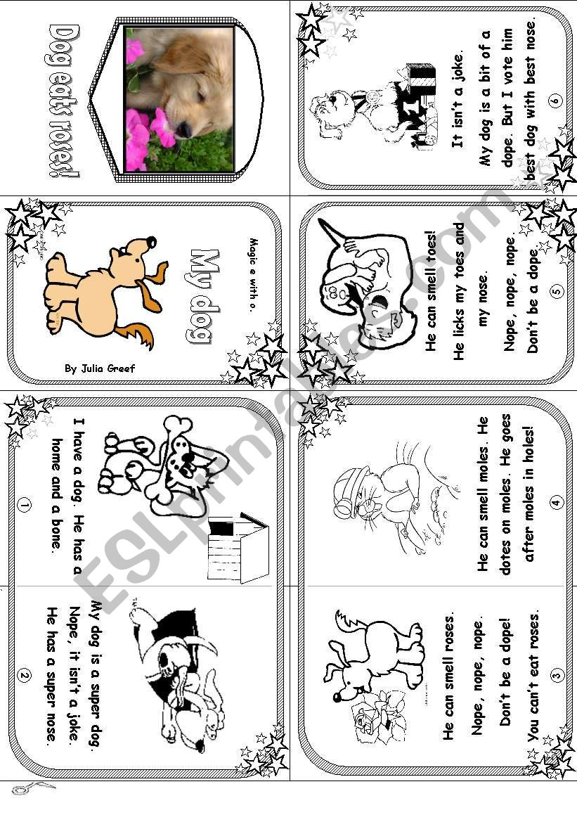 Phonics Mini Book 5: Magic E with O: My Dog